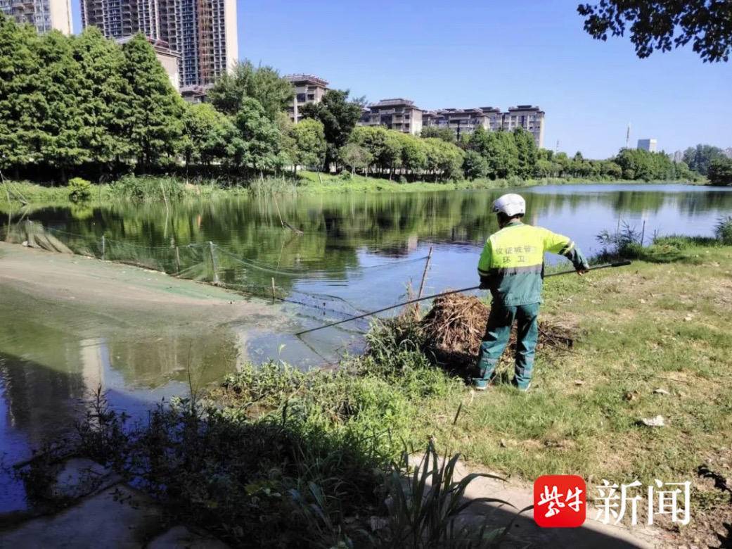 🌸党建网 【澳门今晚必中一肖一码准确9995】_两部委优化城市房地产融资协调机制：组长副组长成员单位有变  第6张