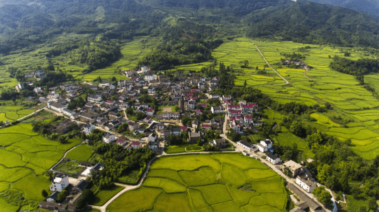 黄山区新丰乡图片