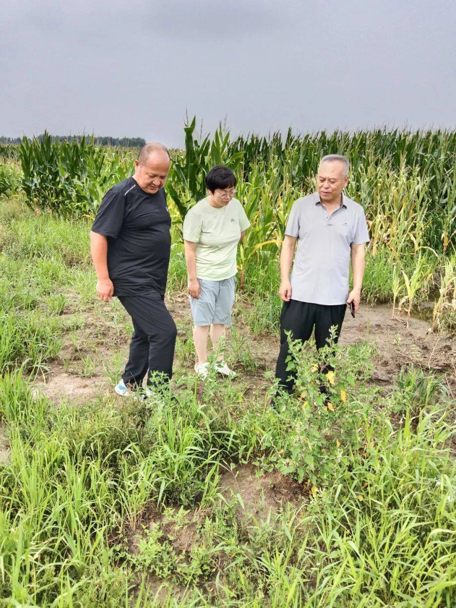 梨树县孤家子镇镇长图片