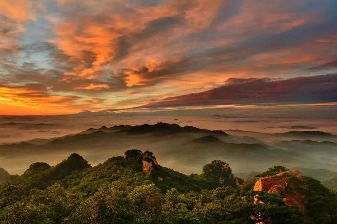 辽宁知名景点8月8日恢复开放_旅游_千山_景区