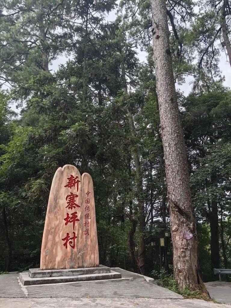 网友游记:前人栽树,后人乘凉——新寨坪村消暑有感