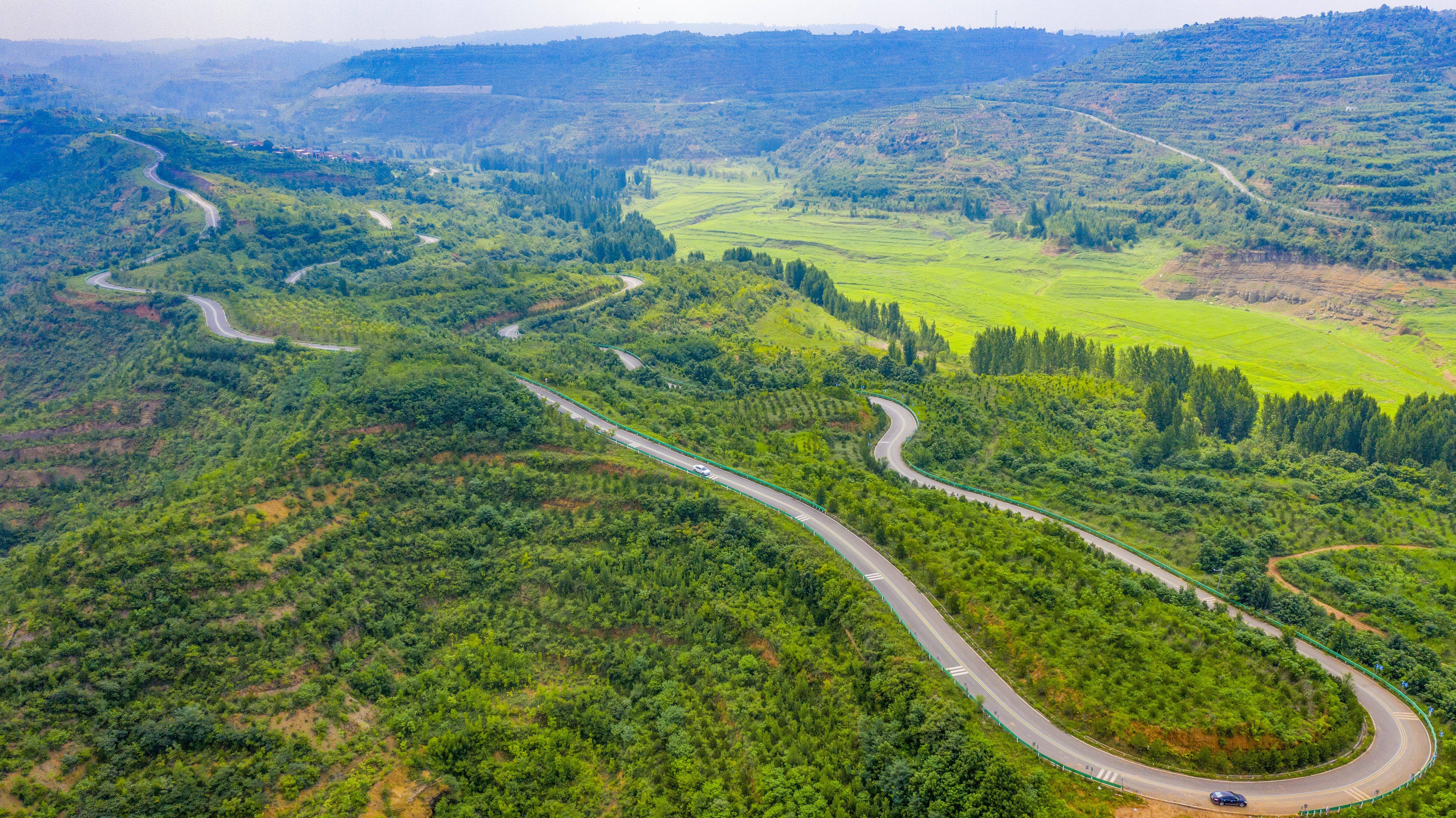新安:沿黄生态廊道美如画 绿水青山成"网红"