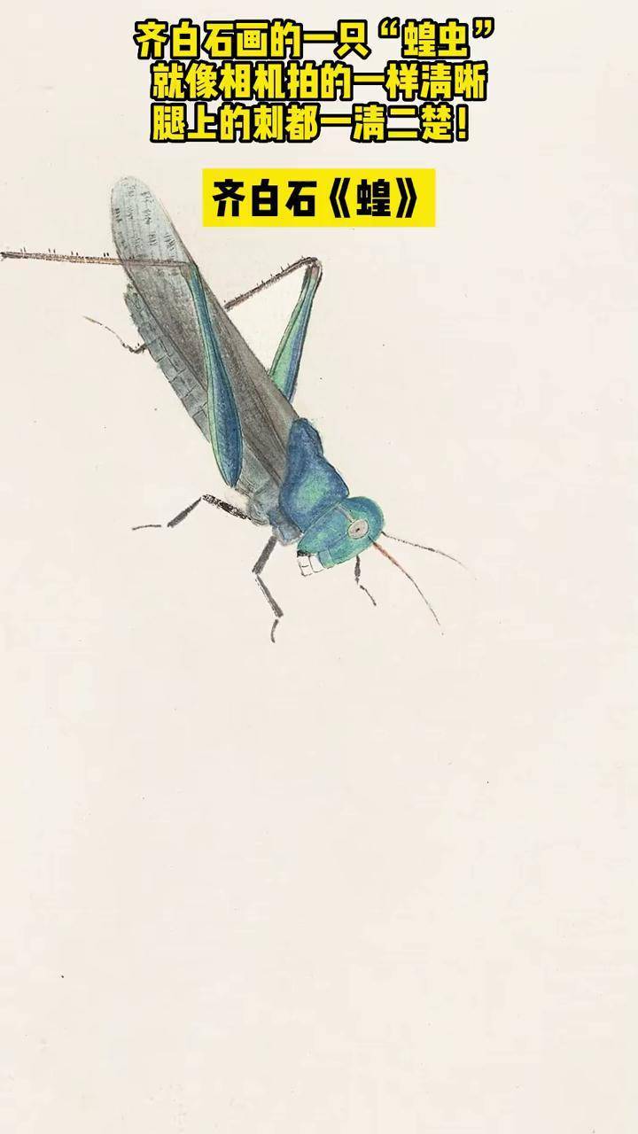 齐白石画的一只"蝗虫",就像相机拍的一样清晰,腿上的刺都一清二楚!