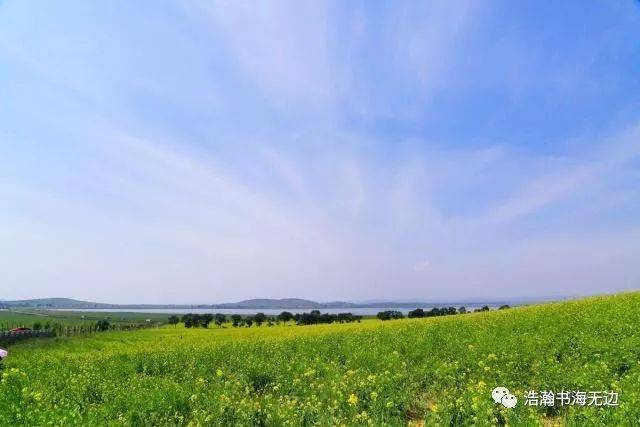 【區域地理】鄭州：一個屌絲逆襲失敗的樣本！中國地理大區，山東位于華北平原，為何被劃入“華東地區”