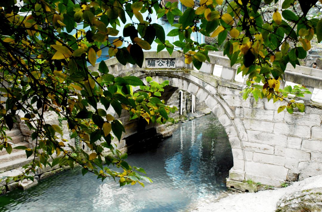 新重庆·老地名丨沙坪坝——青木关