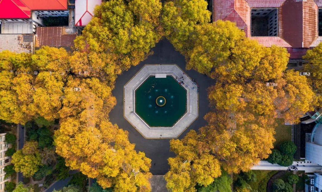 东大建筑学院图片