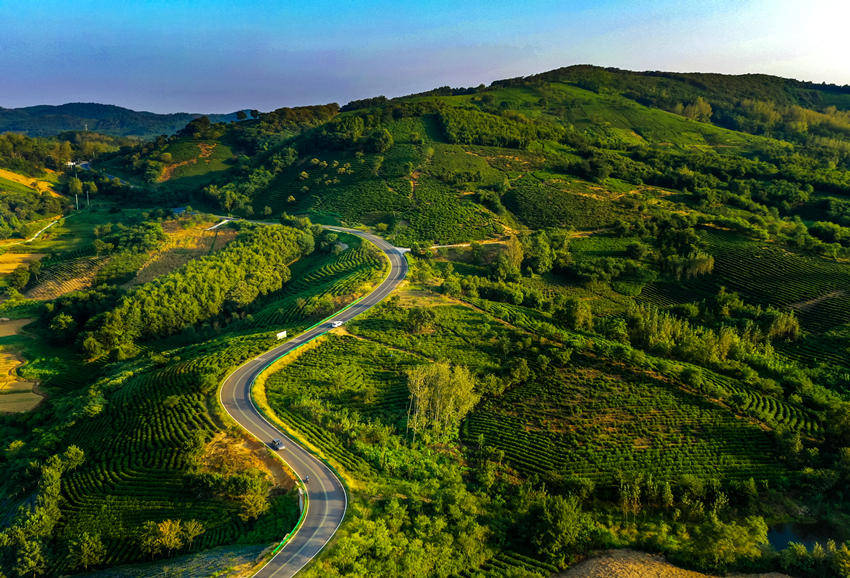 乡村振兴在行动丨安徽滁州:一条风景道带旺美丽乡村