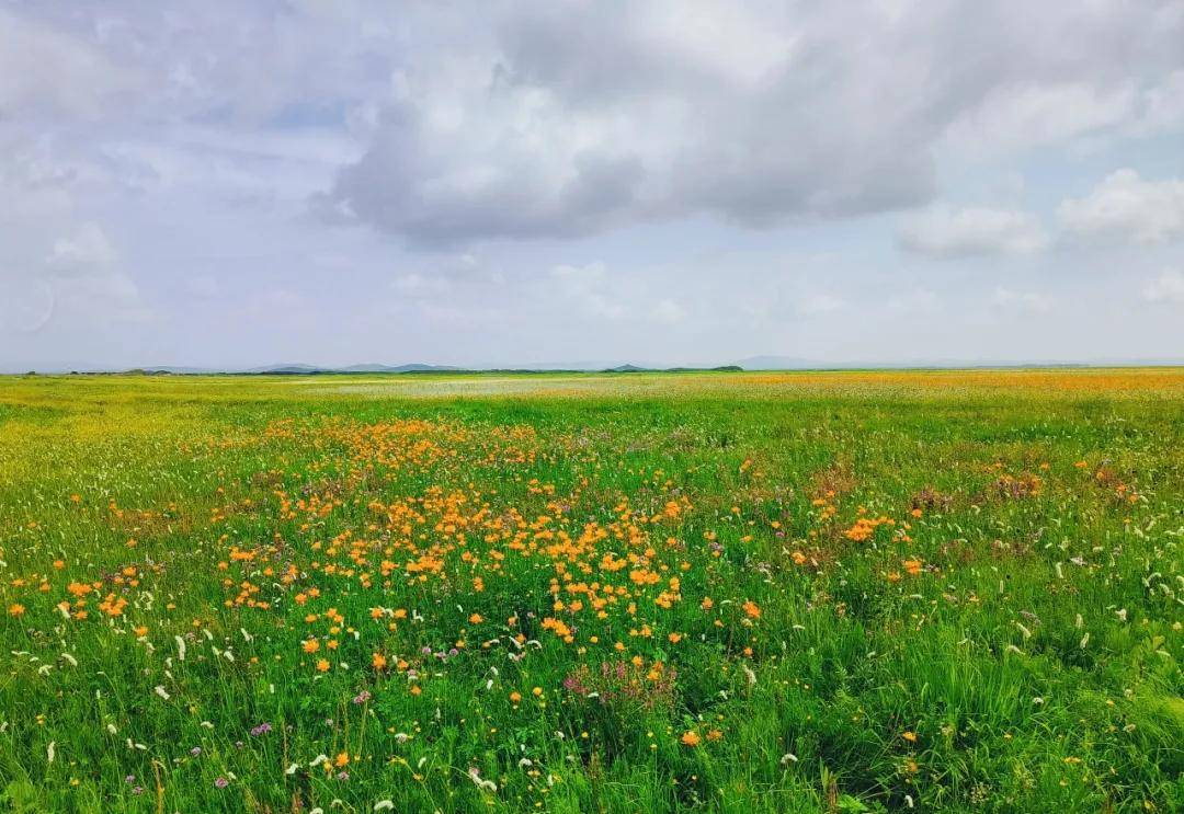 seaofflowers锡林郭勒大草原世界文化遗产元上都遗址元上都遗址博物馆