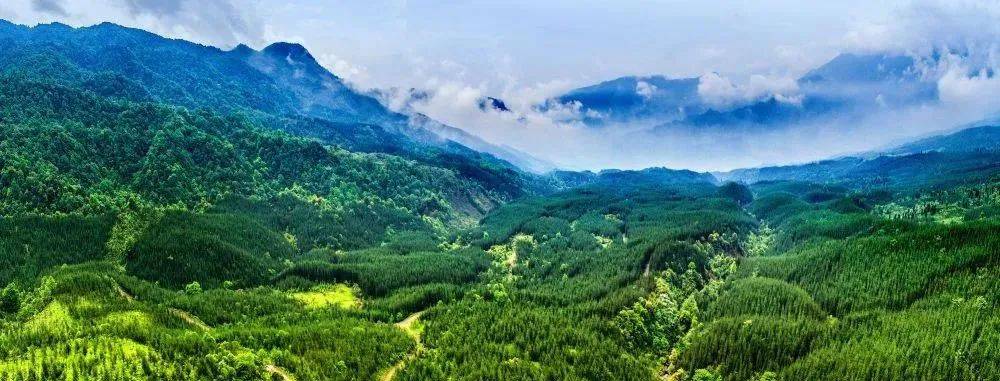 秋高气爽不如,一起去爬山吧乐山市文化广播电视和旅游局编制信息来源