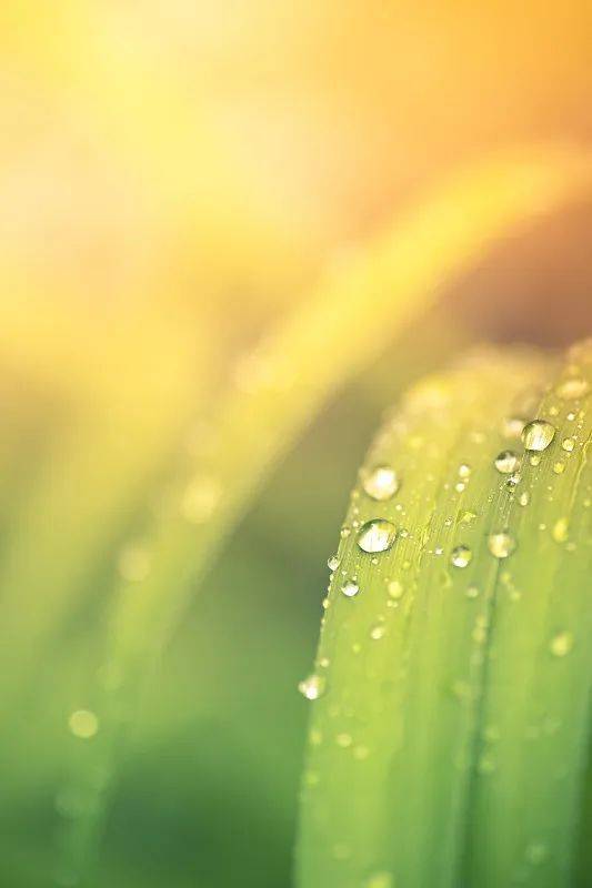 节气61立秋︱一片秋叶 一池秋水