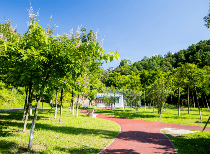 在巨大的天然"氧吧"东山森林公园被打造为健康主题公园公园内有篮球场