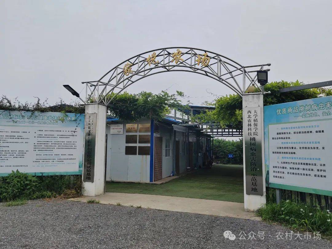 致富门路农村(农村致富门实例)