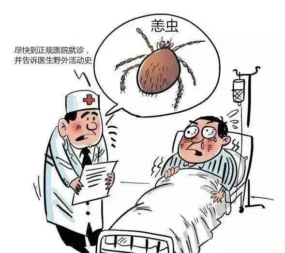 恙虫病治疗图片