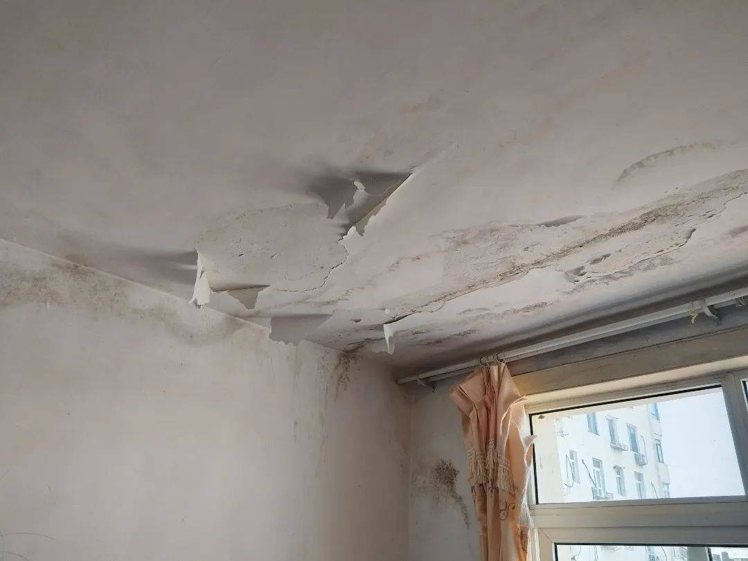 房屋漏水不用愁,选对平台精准修复!再增加10个名额,修不好不收费