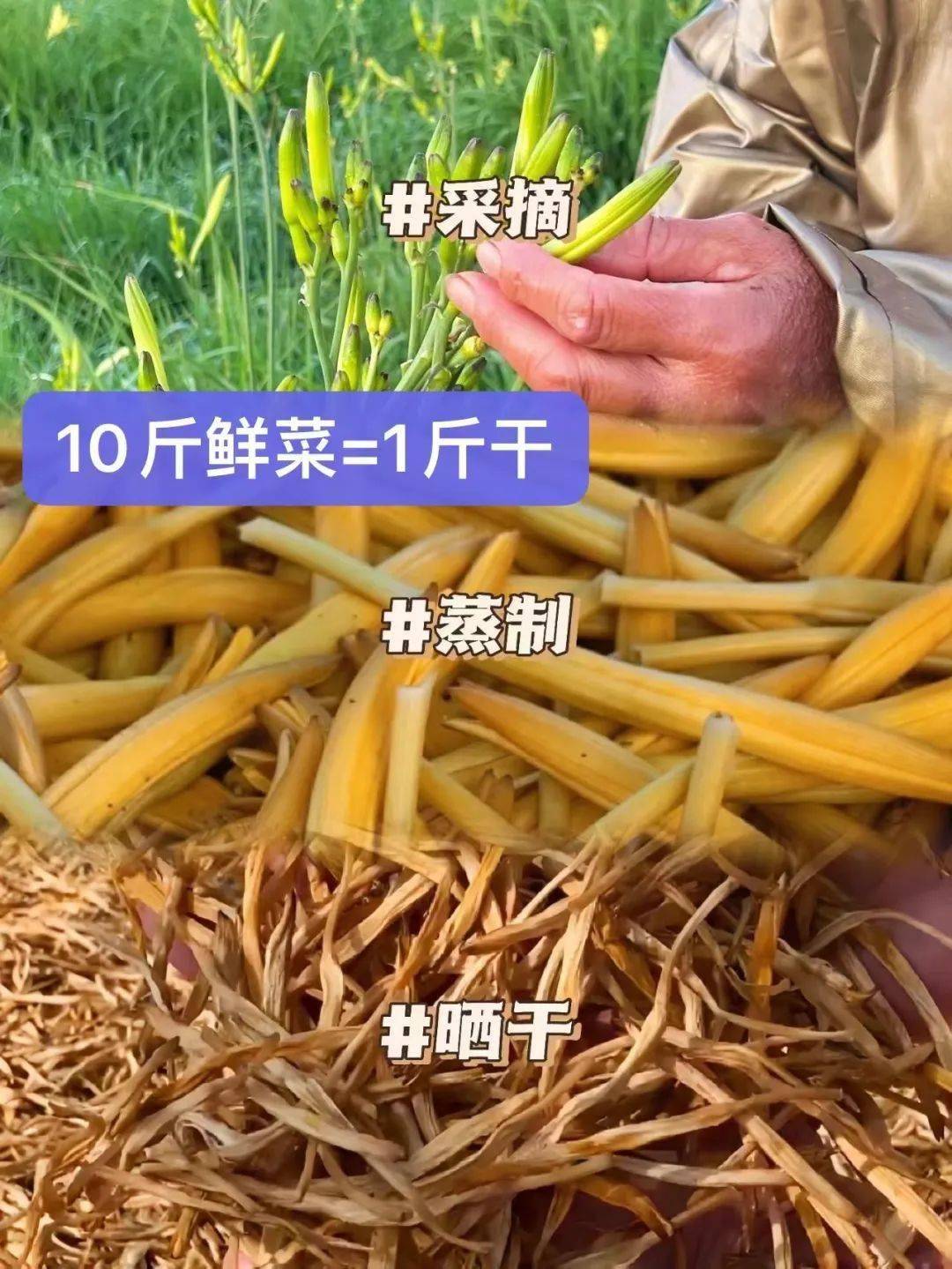 干黄花菜的做法大全图片