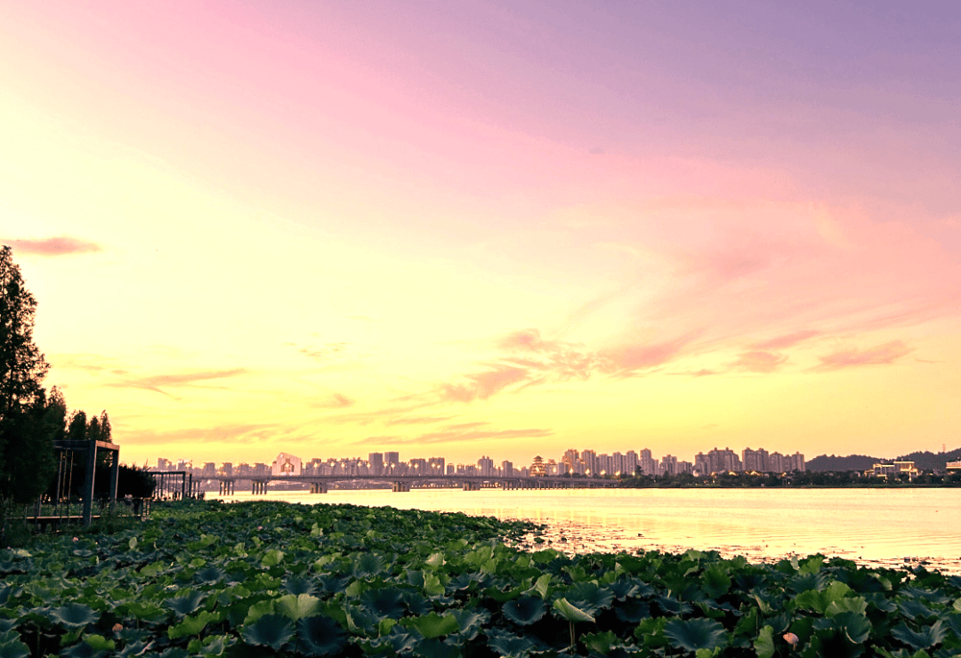 发现·经开 | 一秒心动！ 用《夏夜》邂逅遂宁经开区的浪漫