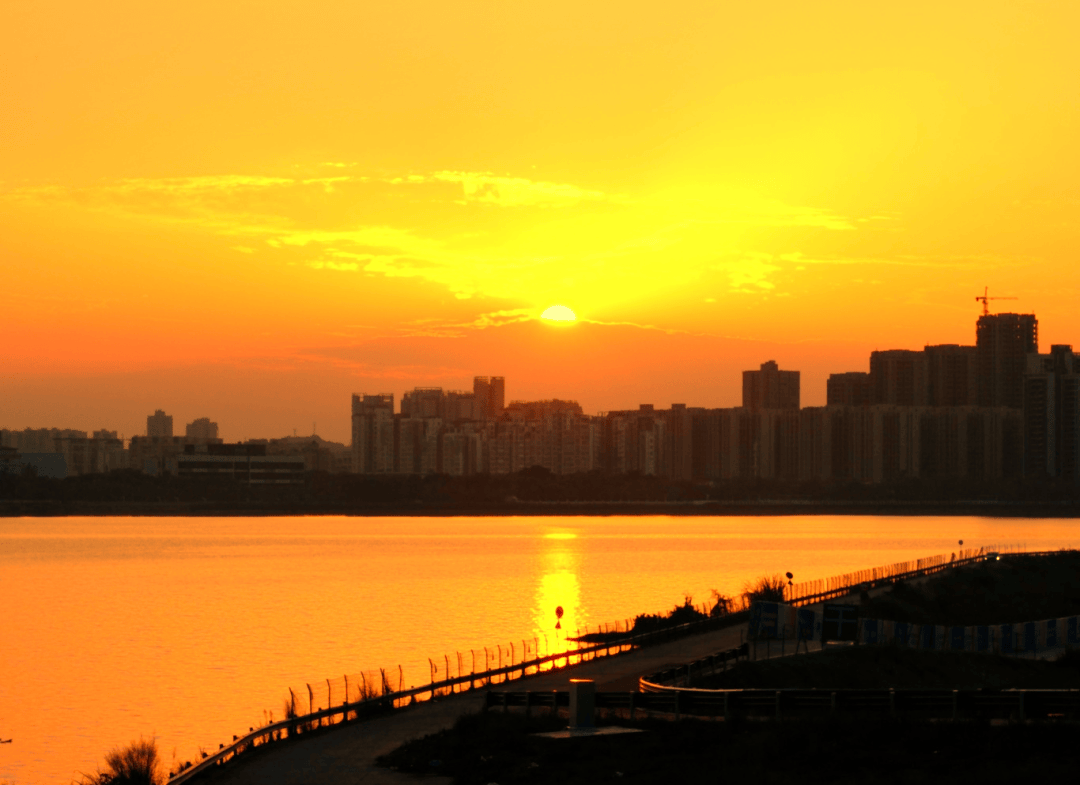 发现·经开 | 一秒心动！ 用《夏夜》邂逅遂宁经开区的浪漫