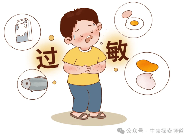 干细胞改善易过敏体质，调节免疫失衡_淋巴细胞_治疗_过敏性