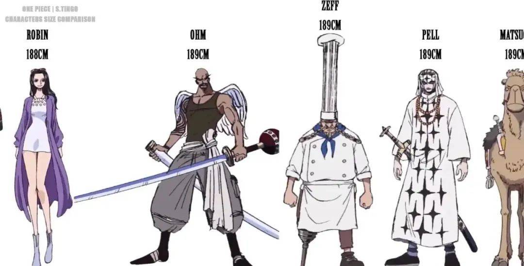 海贼王人物身高大盘点来了!