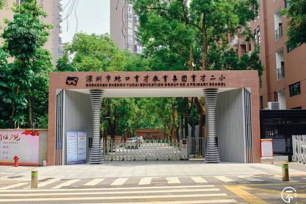 还有小学中学合并而成的蛇口学校,一到放学时间