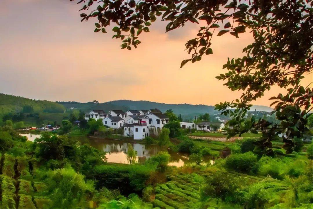 清研智观 | 农村生态环境明显改善