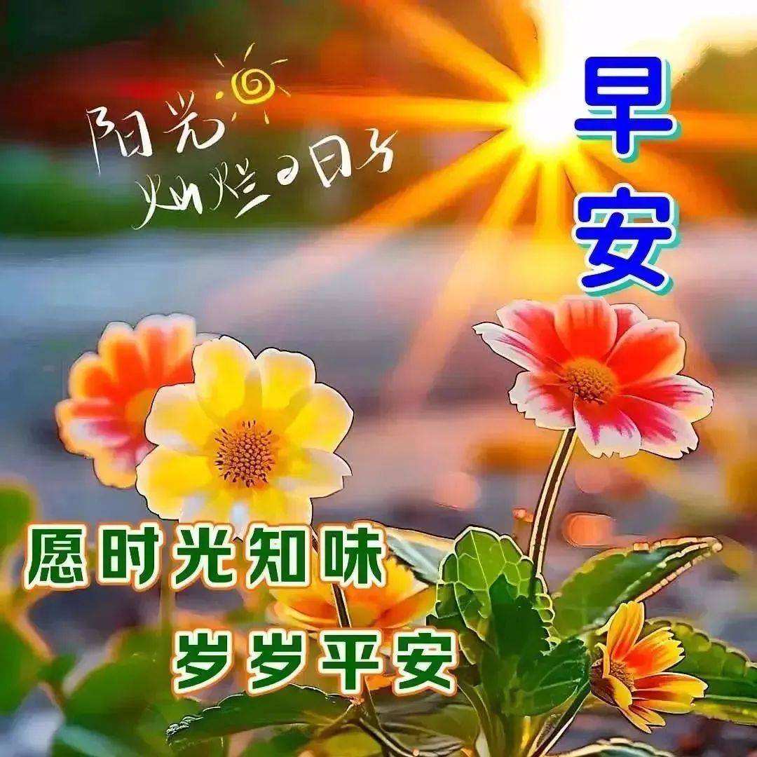 今日最新早上好问候祝福语精选图片