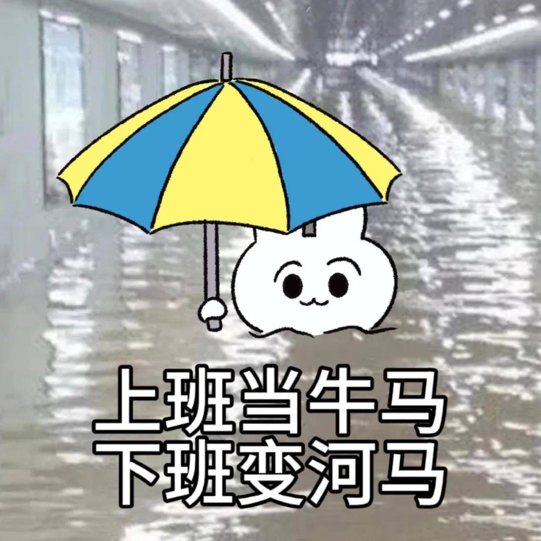 头像表情包292