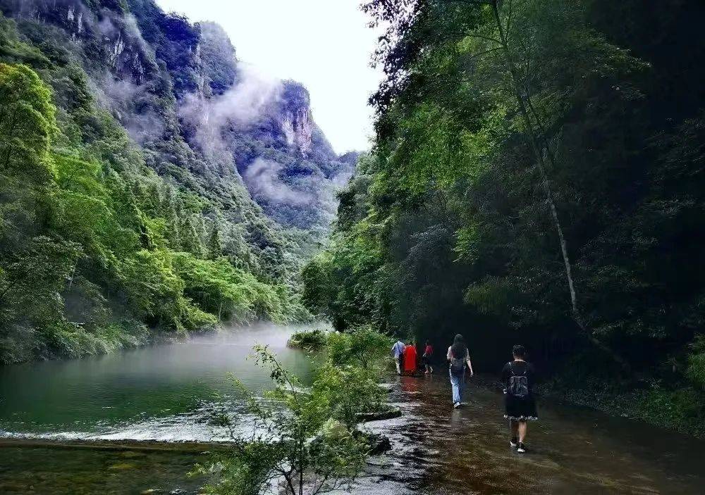 绥阳:"玩水"经济让夏日旅游持续升温