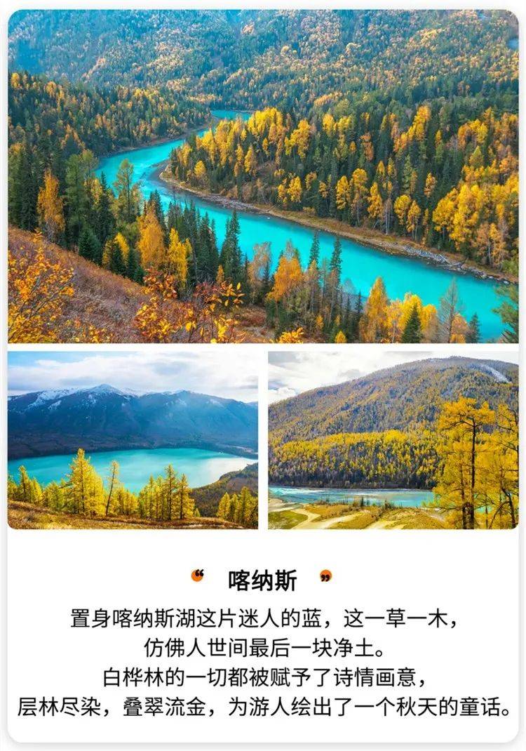 喀纳斯景区介绍图片