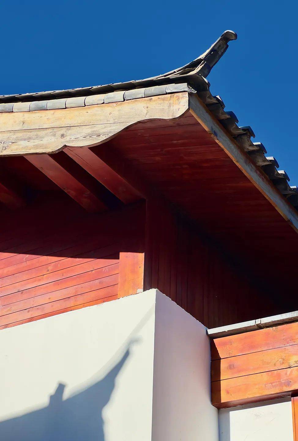 出现这些症状千万警惕_医生_手术_余欣