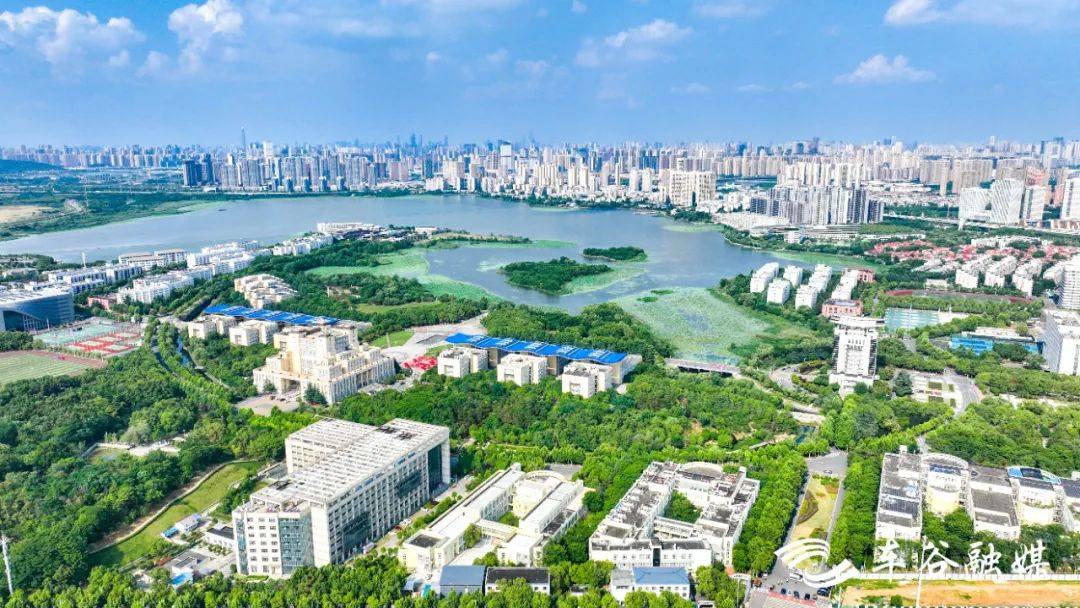 武汉经开区这两所高校迎来大“利好”_建设_支持_领域