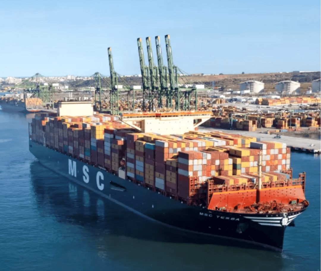 MSC开通全新航线！上海直航达曼_服务_中东_港口