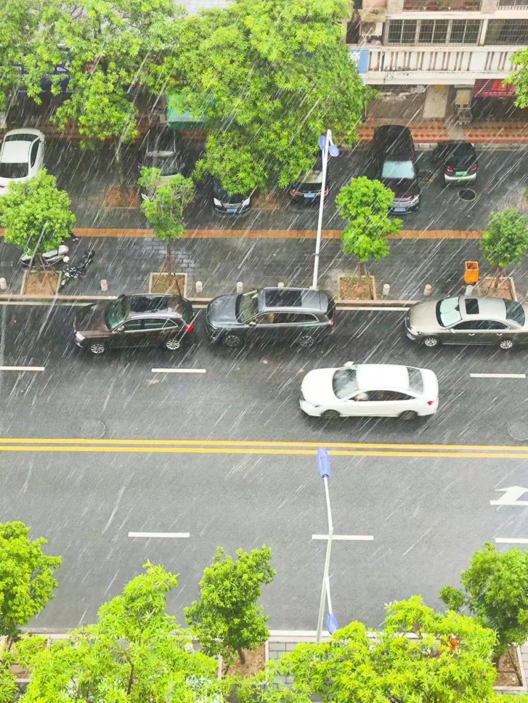 大雨转雷阵雨图片