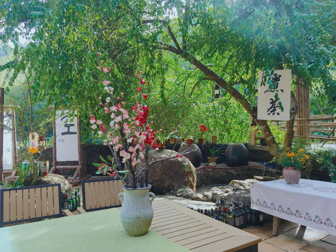 67省级"美丽庭院"村展播 | 龙门县南昆山生态旅游区花竹社区绘就"