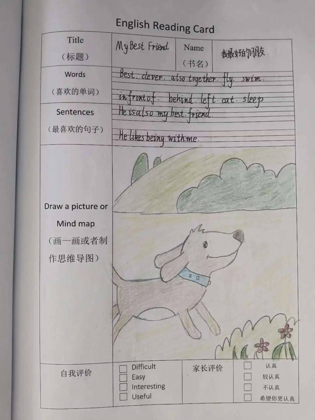 "暑"我作业最精彩——淇滨区明达小学四年级暑假特色作业展示