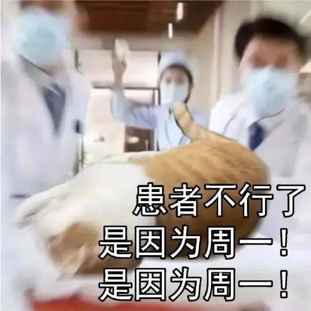 瑟瑟表情包 黄油小熊表情包
