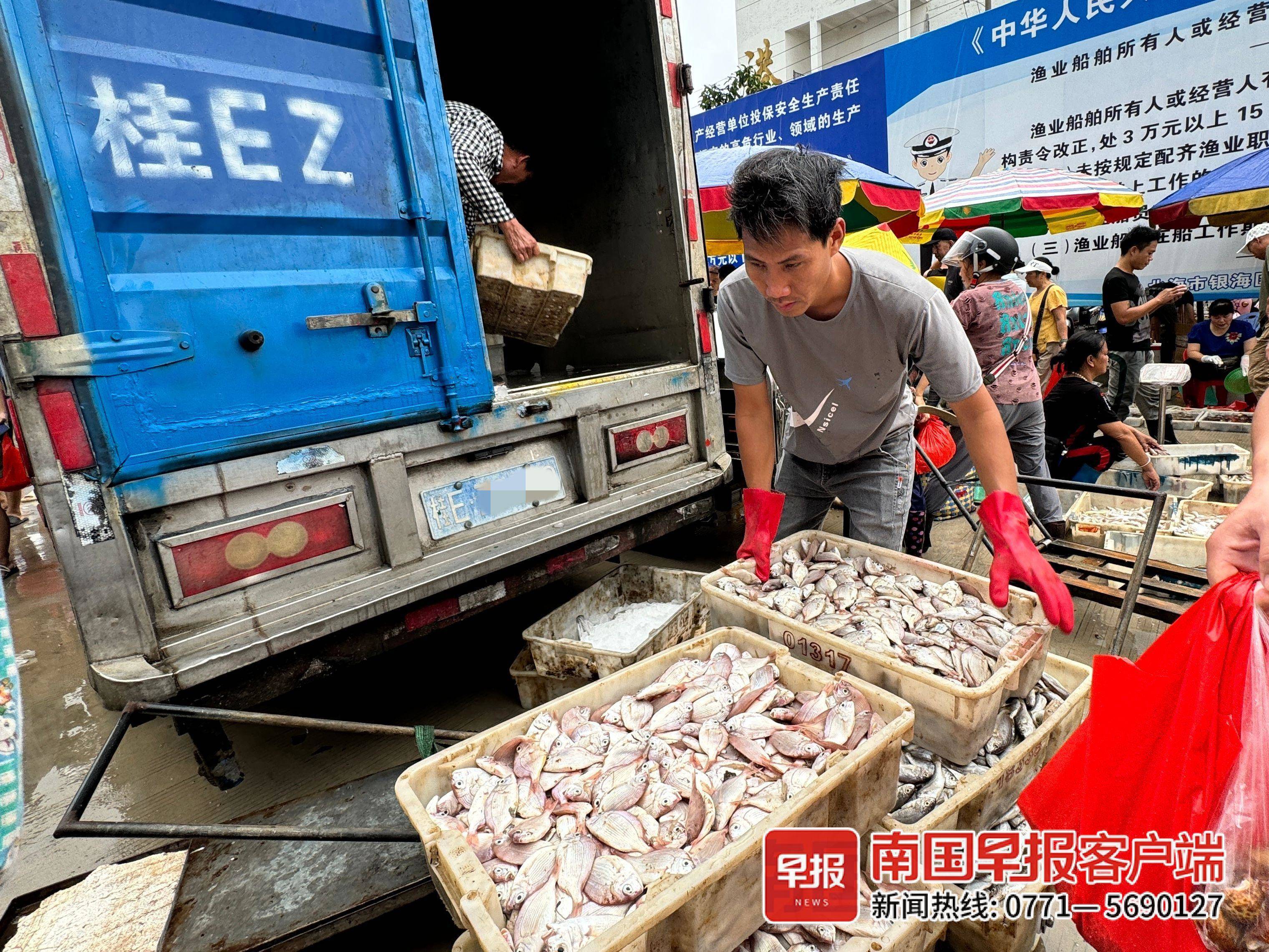 开海后首批海鲜上岸!广西开启海鲜"炫腹"模式