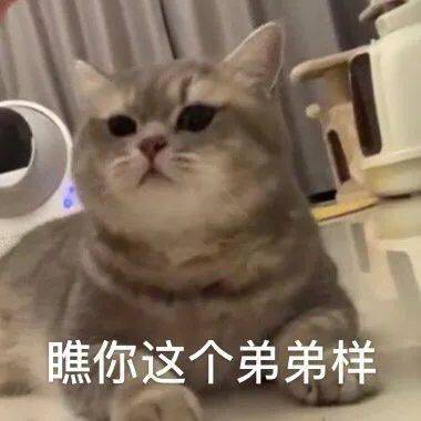 我想坐你大腿上|表情包