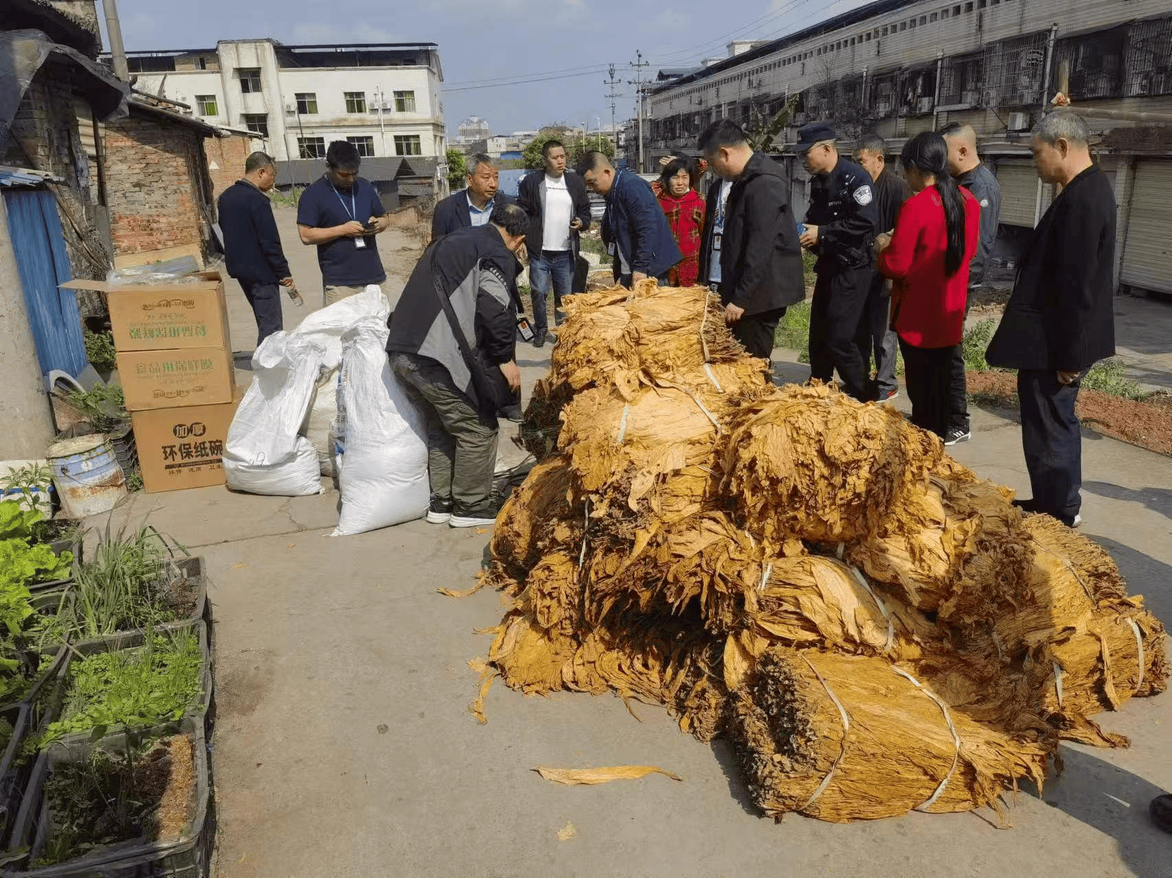 压缩烟丝烟砖图片