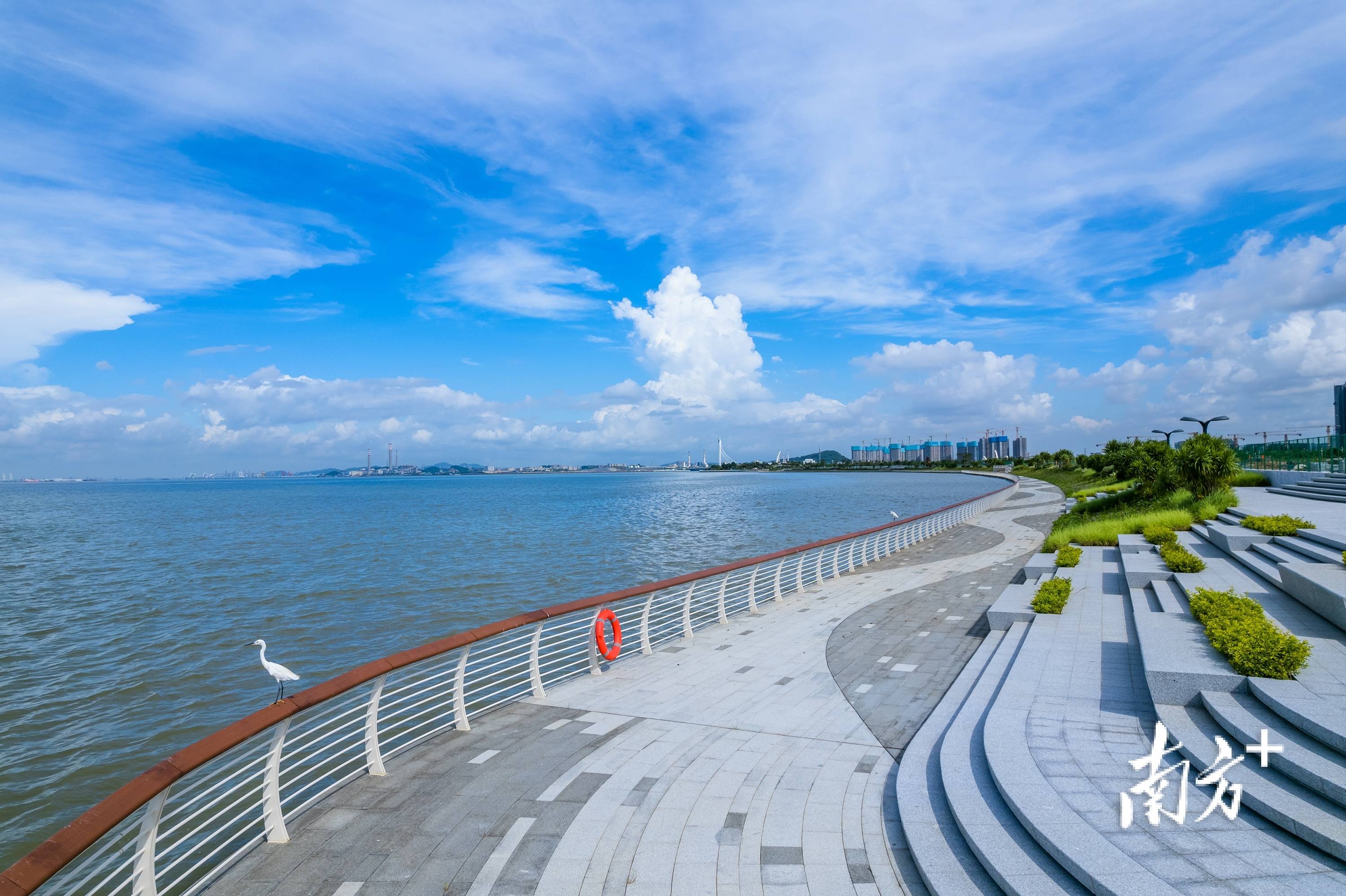观海鸟踩浪花!滨海湾这个看海"打卡点"展新貌