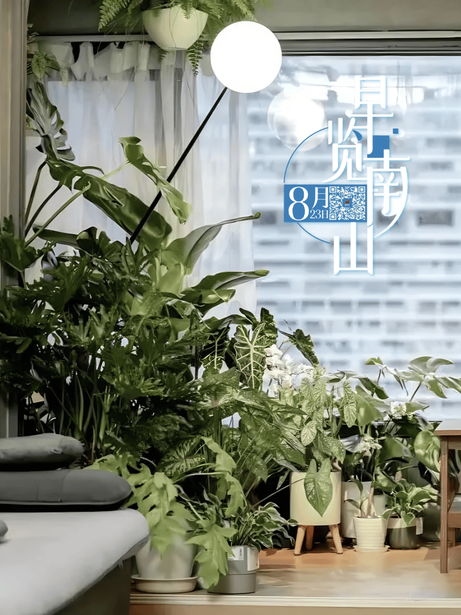 深圳文化新地标+1,“湾区之眼”要来了丨早览南山_企业_活动_详情