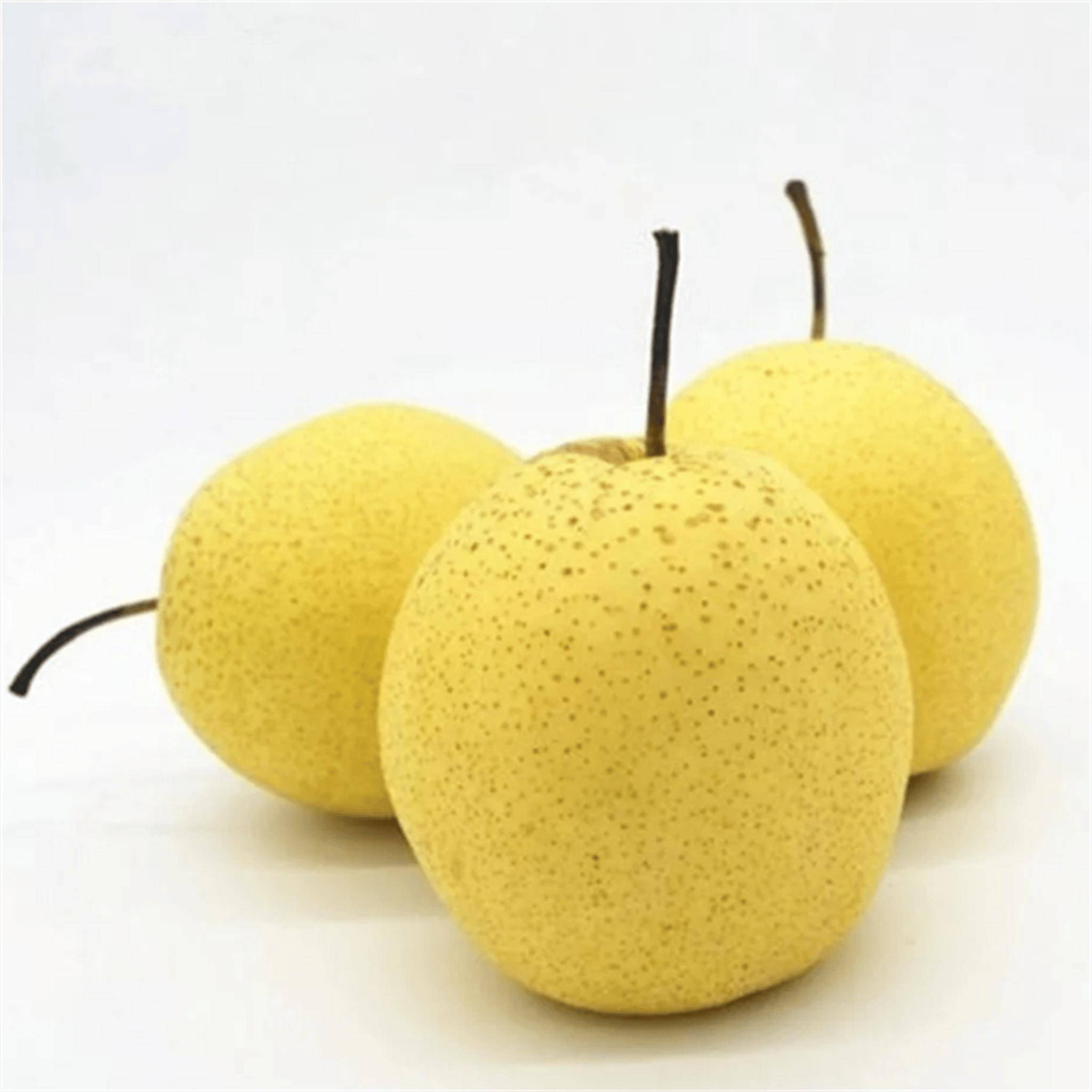 冰糖雪梨用什么梨好,天干物燥时的挑选法则,你选对了吗?