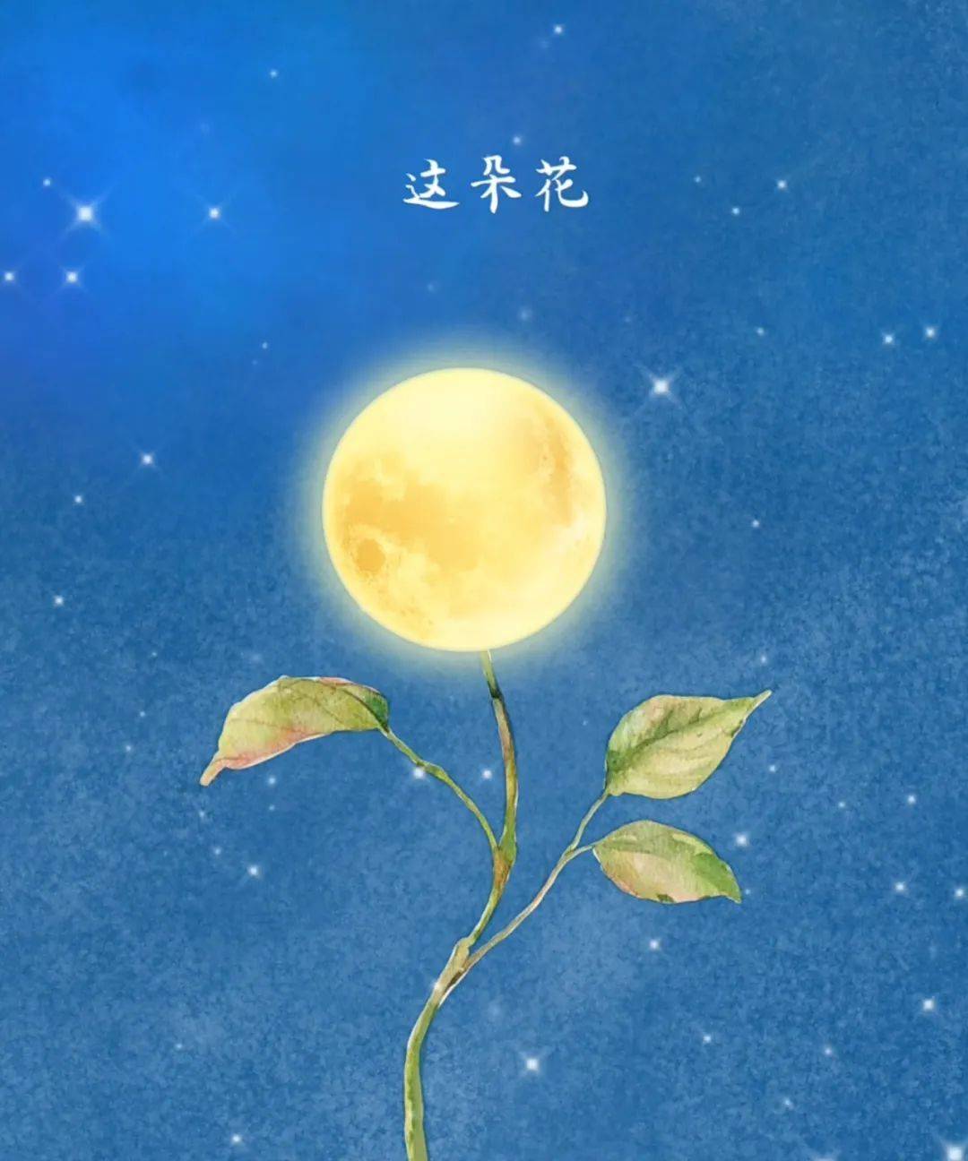 :送你一朵月亮花