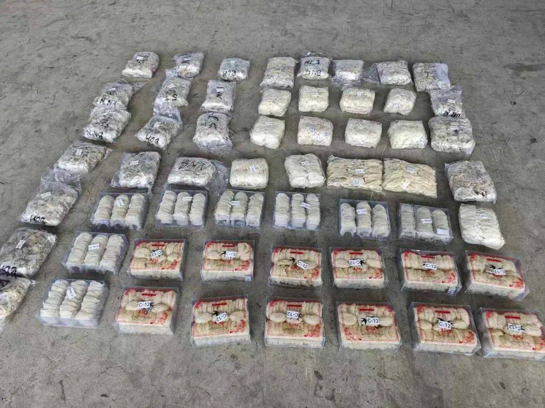 走私燕窝银行流水过亿怎么判 来自搜狐网