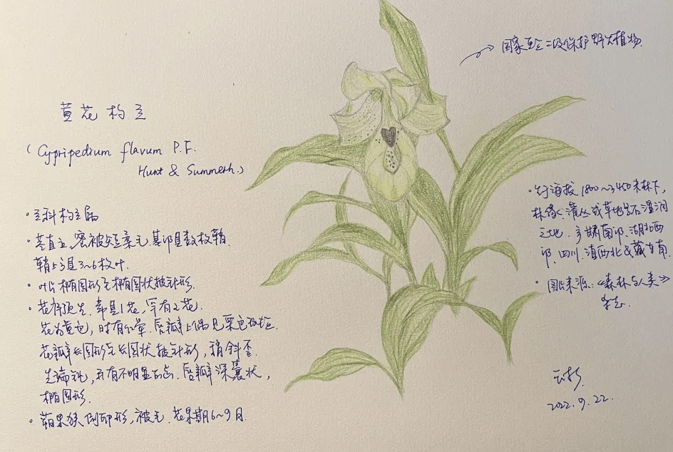 山水如诗 风景如画——风景名胜区自然笔记探索