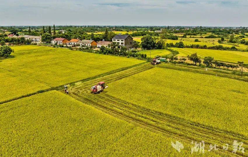 头条：一码一肖100准免费资料综-中国文化传媒集团党委理论学习中心组举行党纪学习教育专题学习暨警示教育会议