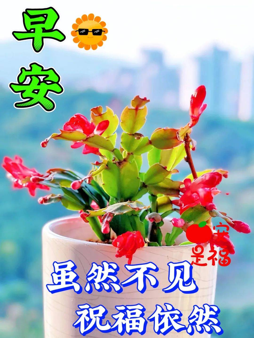 27最新早上好问候语精选大全,祝福问候,福气满满!