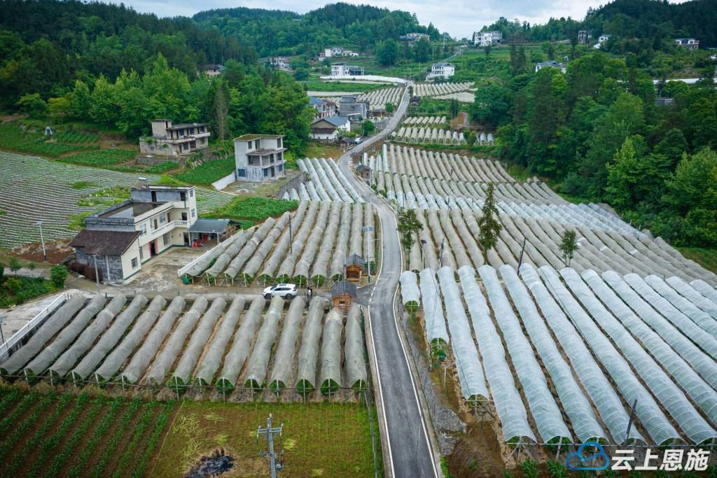 【组图】建始:大道如虹逐梦行