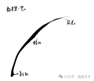 国画基础技法详解 水墨兰花画法