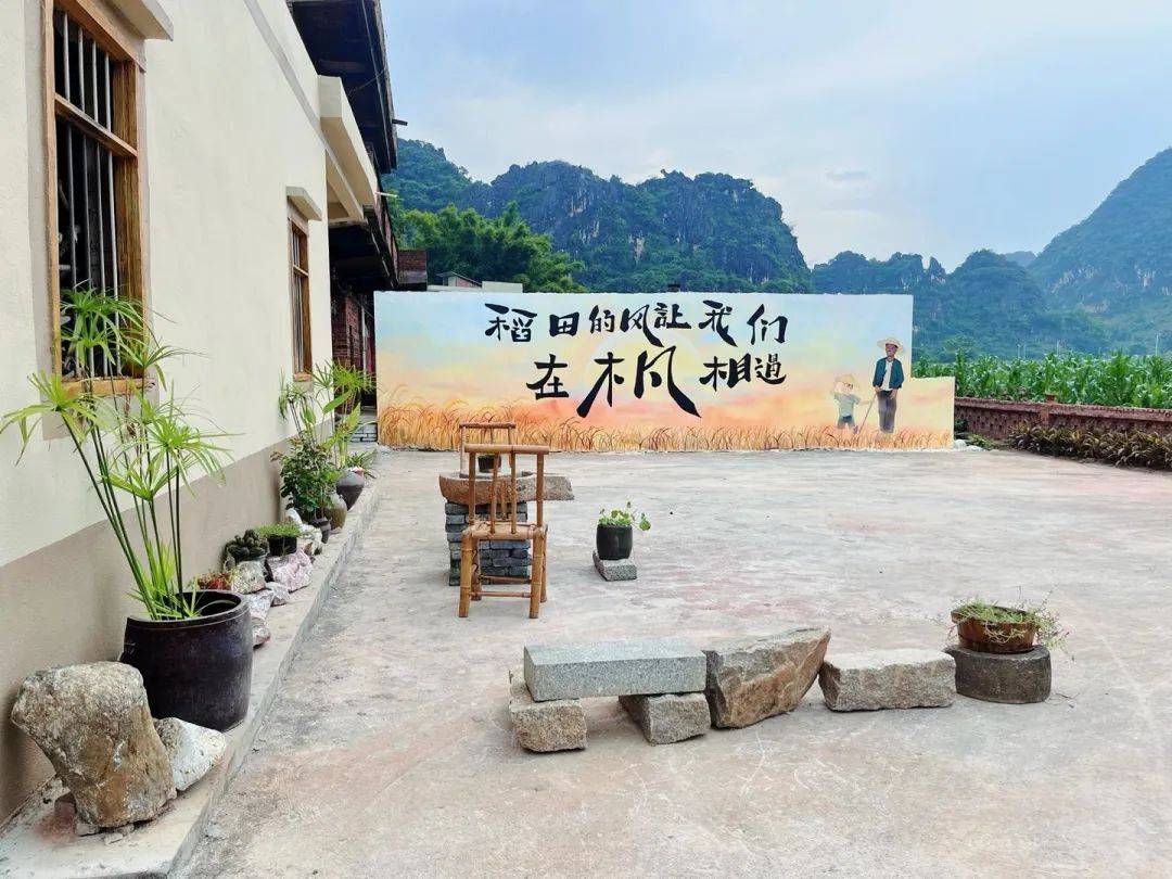 太美啦!罗定这个昔日"空心村"蝶变"网红村"